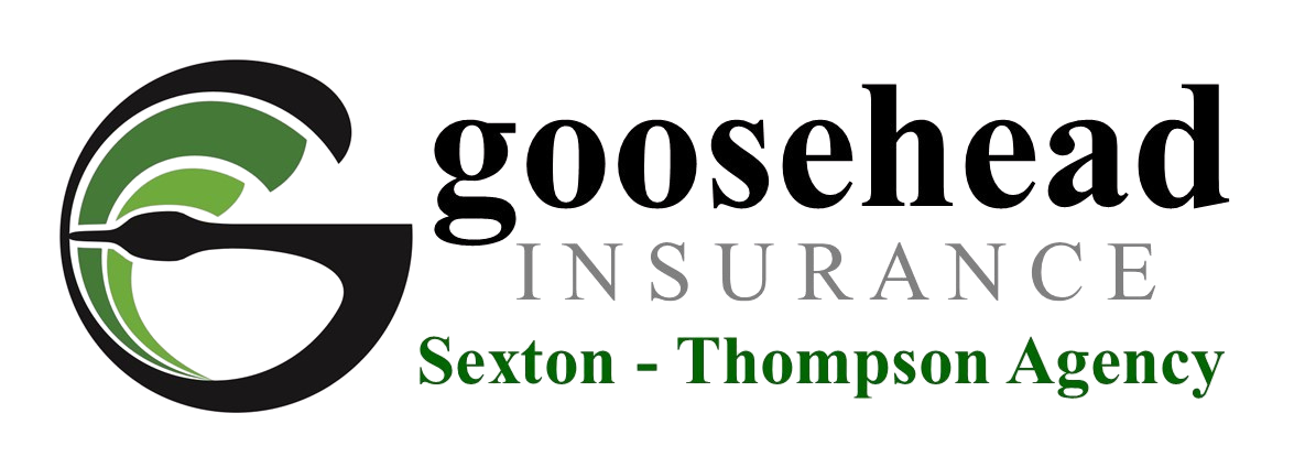 heal her mind build her legacy-event_sponsors-goosehead_insurance - Edited